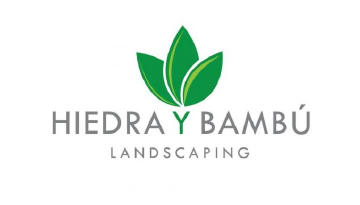 hiedra y bambu